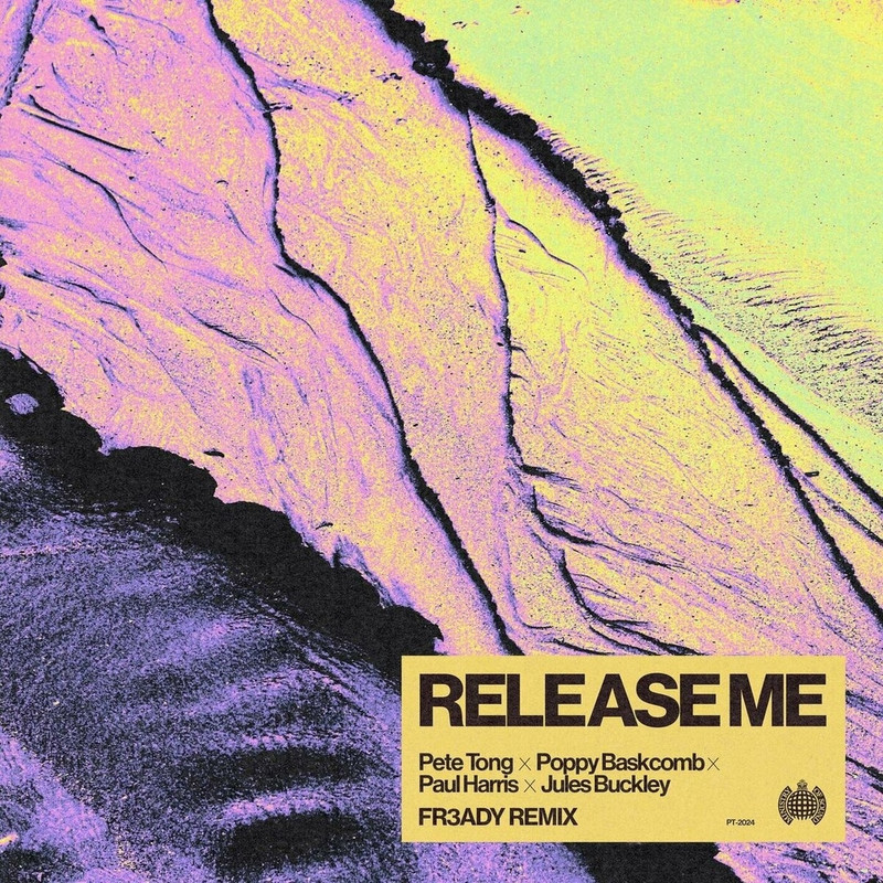 Pete Tong, Poppy Baskcomb & Paul Harris - Release Me (feat. Jules Buckley) (FR3ADY Extended Remix)
