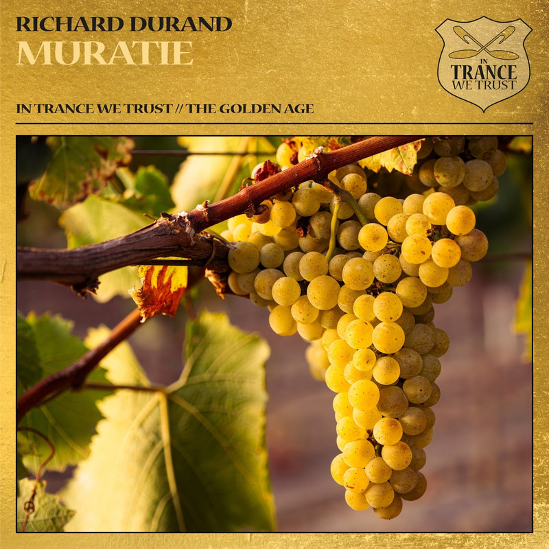 Richard Durand - Muratie (Extended Mix)