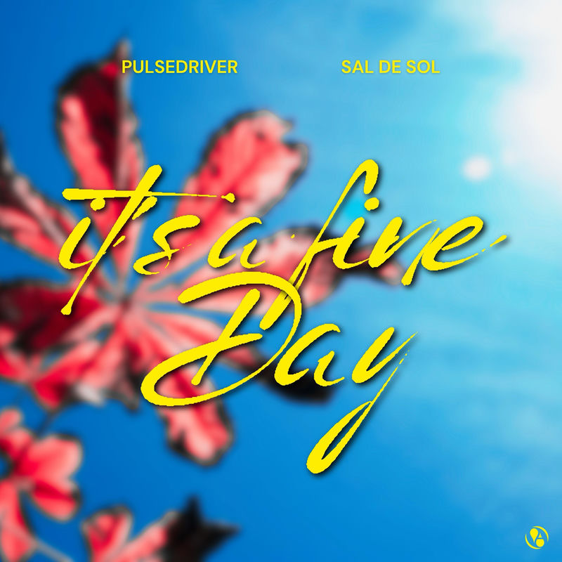 Pulsedriver & Sal De Sol - It&acute;s A Fine Day (Extended Mix)