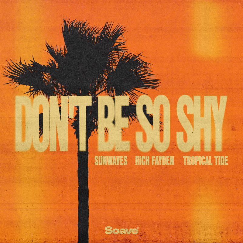Sunwaves & Rich Fayden & Tropical Tide - Don't Be So Shy (Original Mix)