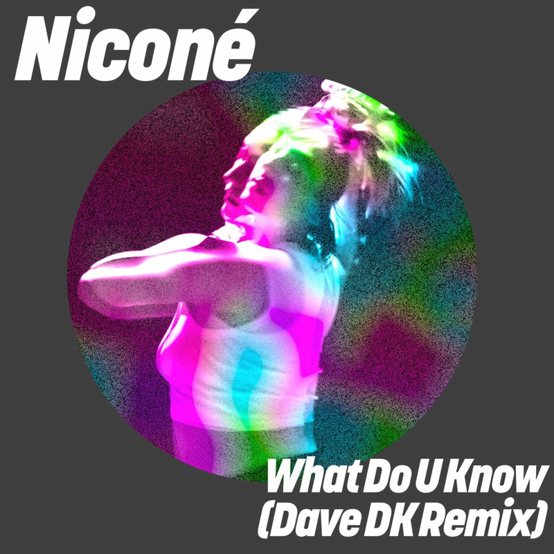 Nicon&eacute; - What Do U Know (Monkey Safari Remix)