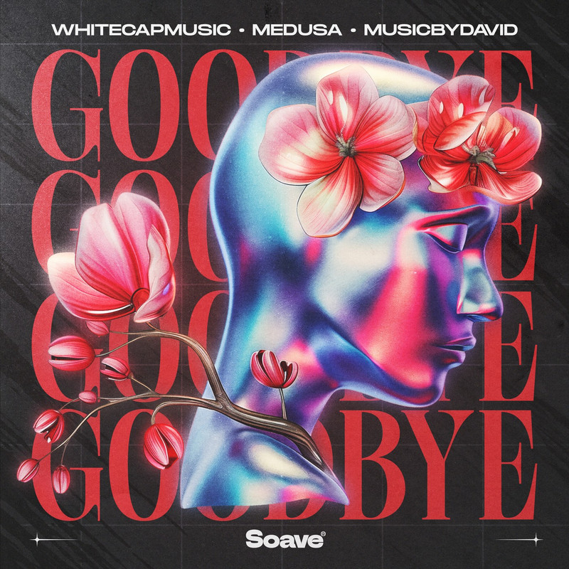 WhiteCapMusic & MusicByDavid - Goodbye (feat. Medusa) [Extended Mix]