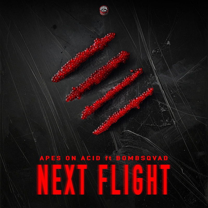 Apes On Acid feat. Bombsqvad - Next Flight (Original Mix)