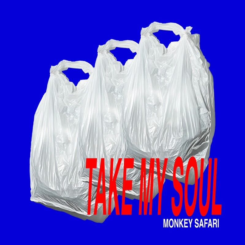Monkey Safari - Take My Soul (Original Mix)