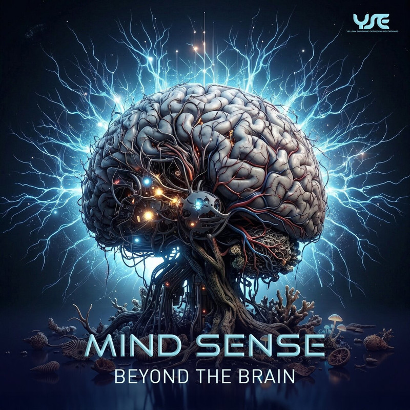 Mind Sense - Beyond the Brain (Original Mix)