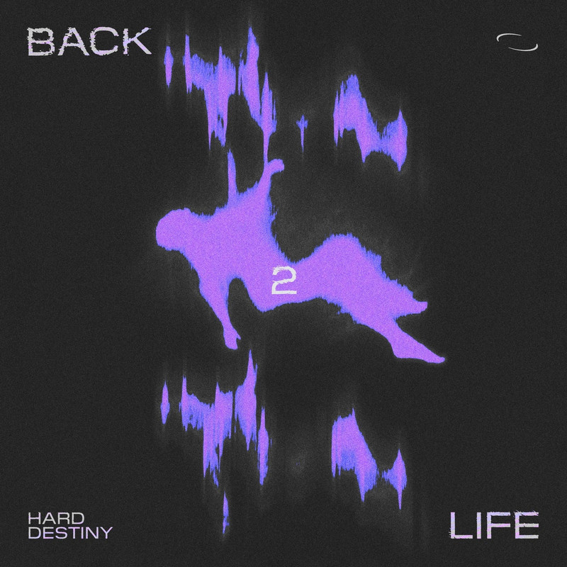 Hard Destiny - Back 2 Life (Pro Mix)