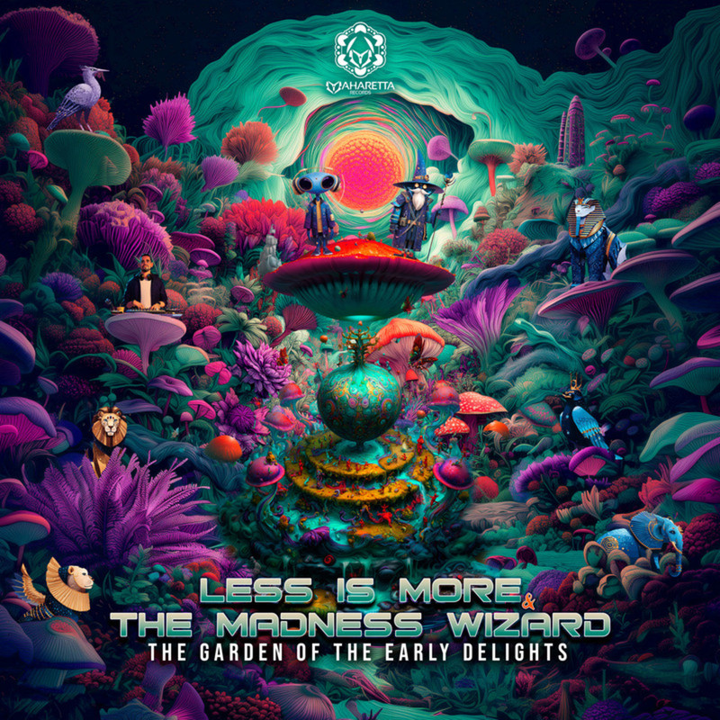 Less Is More, The Madness Wizard - The Garden of Earthly Delights (Original Mix)
