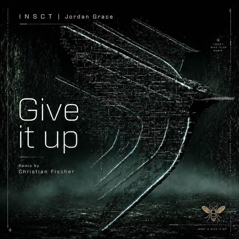Insct & Jordan Grace - Give It Up (Christian Fischer Extended Remix)