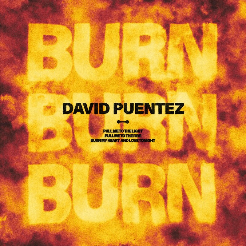 David Puentez - Burn (Original Mix)