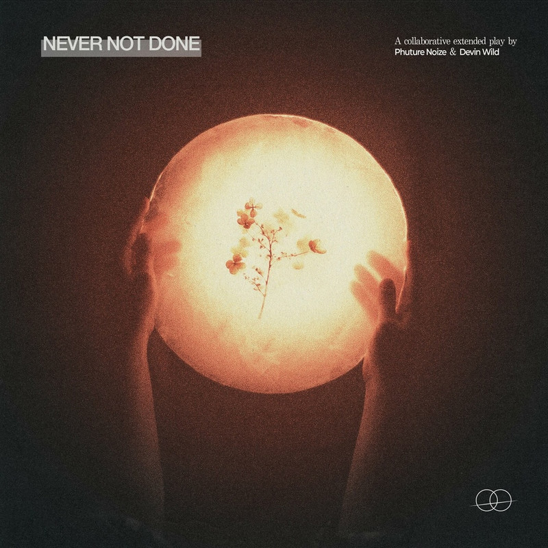 Phuture Noize, Devin Wild - Never Not Done (Original Mix)