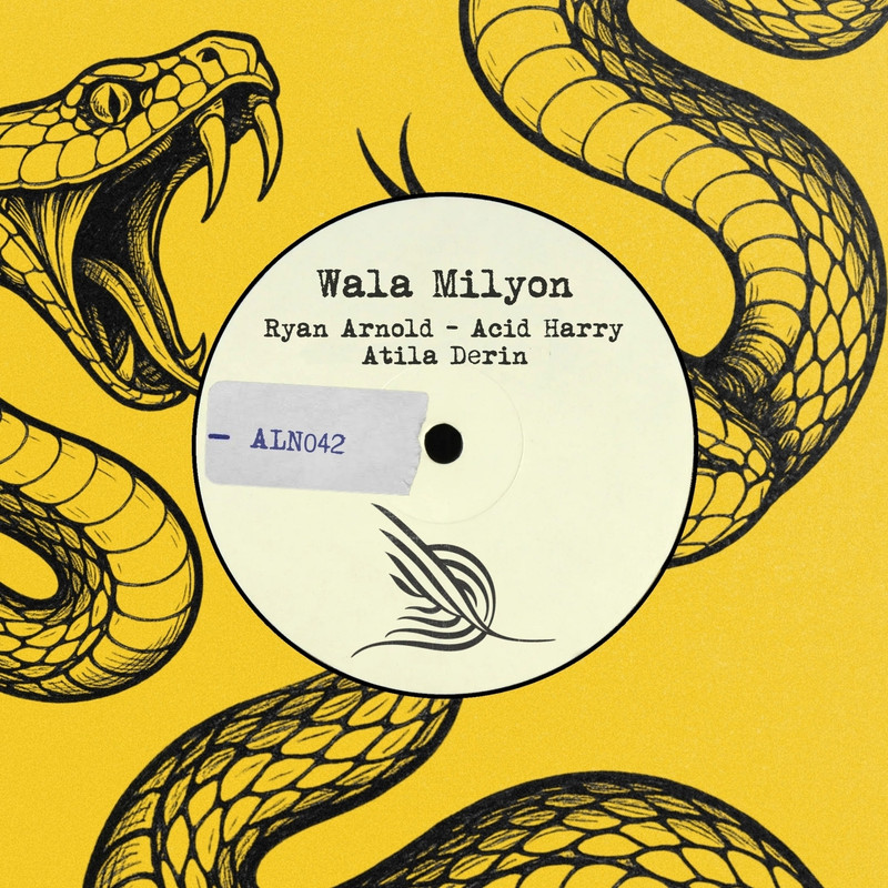 Ryan Arnold, ACID HARRY, Atila Derin - Wala Milyon (Extended Mix)