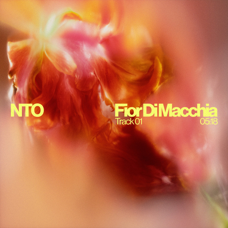 NTO - I Cared For You ft. Montrouge (Original Mix)