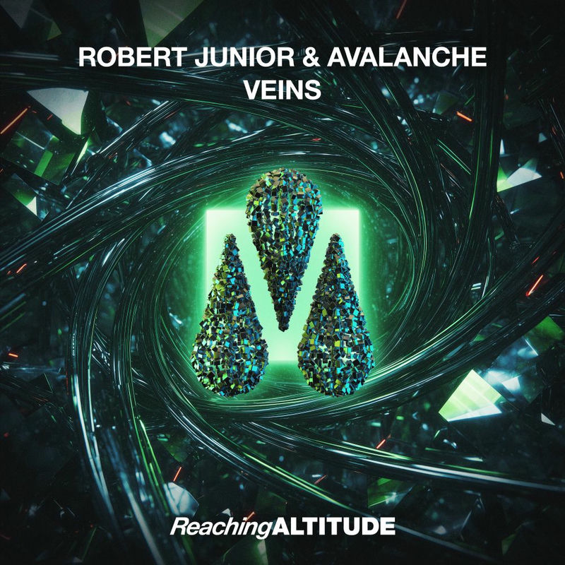 Robert Junior & Avalanche - Veins (Original Mix)