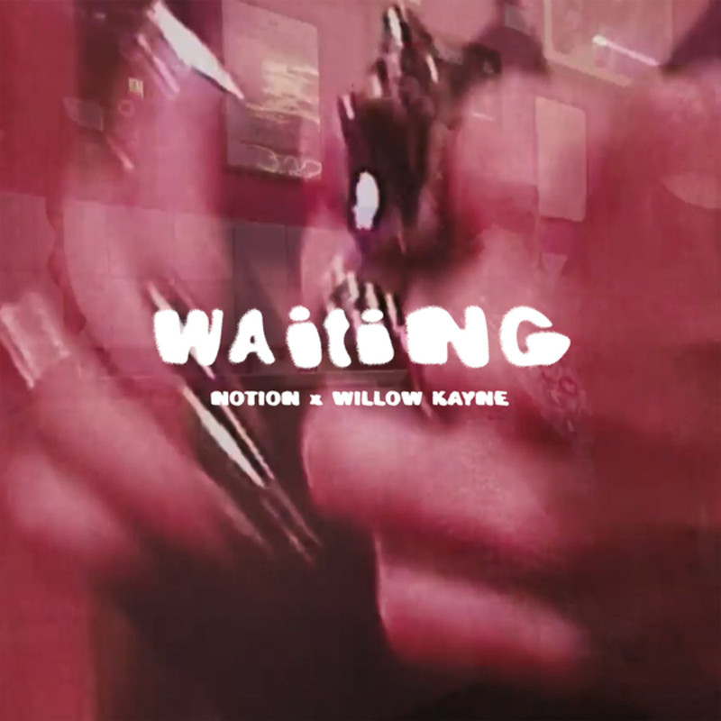 NOTION & Willow Kayne - WAITING (Original Mix)