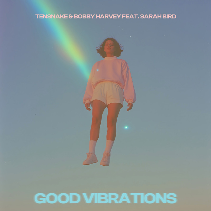 Tensnake & Bobby Harvey feat. Sarah Bird - Good Vibrations (Extended Mix)