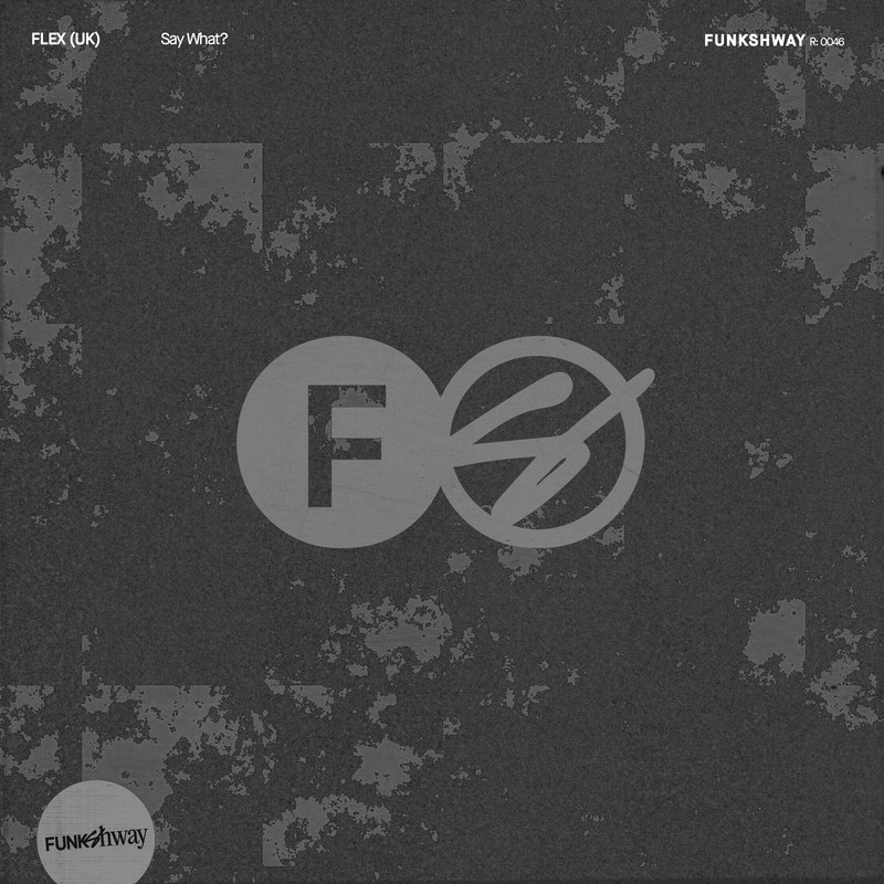 Flex (UK) - Say What (Extended Mix)