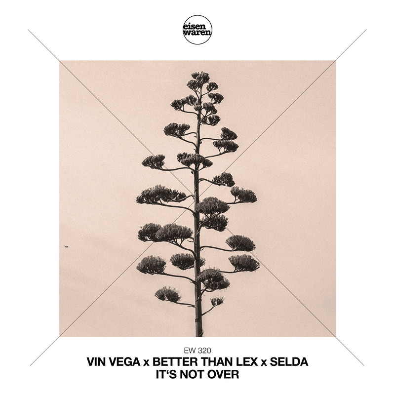 Vin Vega x Better Than Lex x Selda - It's Not Over (Extended Mix)
