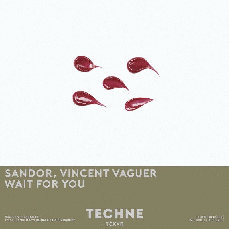 Sandor & Vincent Vaguer - Wait For You (Original Mix)