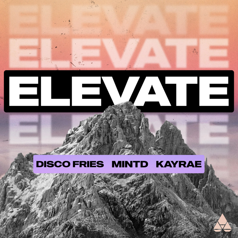 Disco Fries, Mintd, Kayrae - Elevate (Extended Mix)