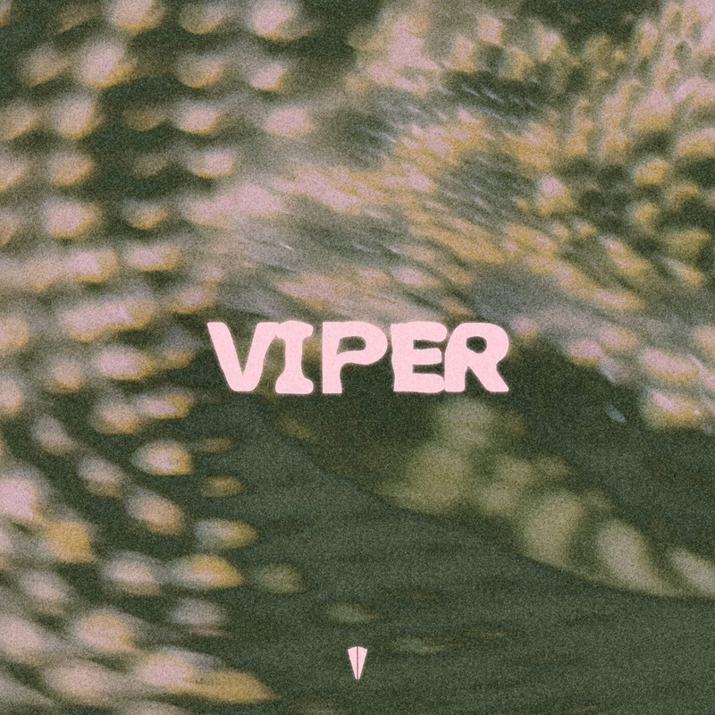 Convinzed, Benzsoul - Viper (Original Mix)
