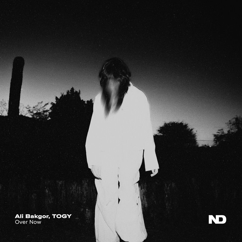 Ali Bakgor & Togy - Over Now (Original Mix)