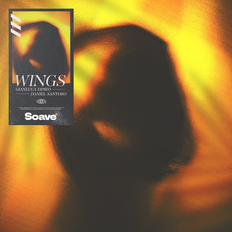 Gianluca Dimeo & Daniel Santoro - Wings (Original Mix)