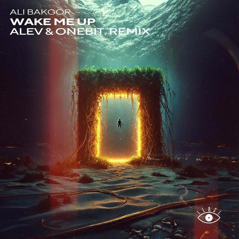 Ali Bakgor - Wake Me Up (ALEV & onebit. Remix)