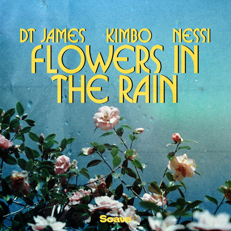 DT James & Kimbo - Flowers In The Rain (feat. Nessi) (Original Mix)
