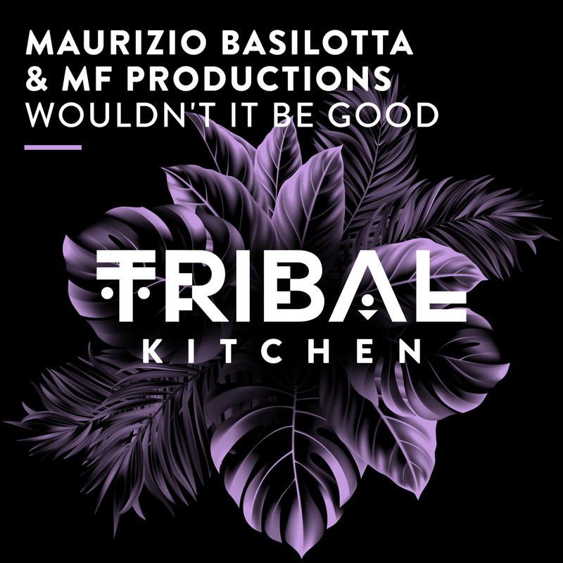 Maurizio Basilotta - Wouldn't It Be Good (Extended Mix)