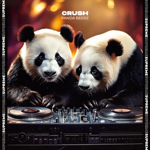 Panda Beerz - Crush (Extended Mix)