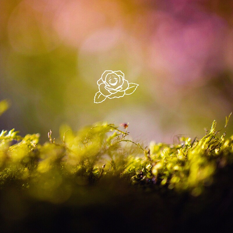 Smile the Roses, Ellum & Josh Rubin - Little Things (Original Mix)