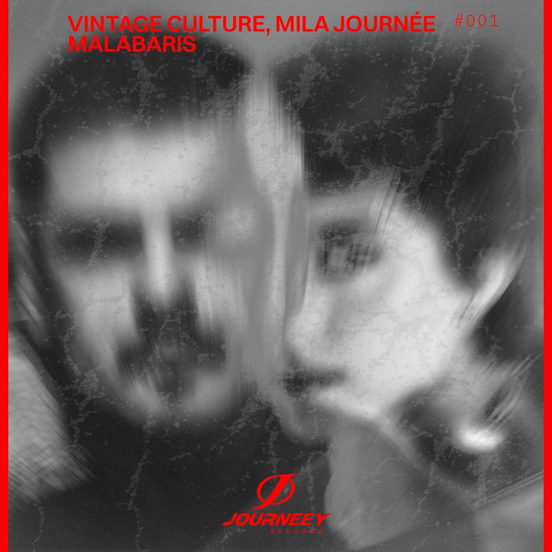 Vintage Culture & Mila Journ&eacute;e - Malabaris (Original Mix)