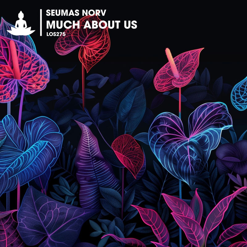 Seumas Norv - Much About Us (Extended Mix)