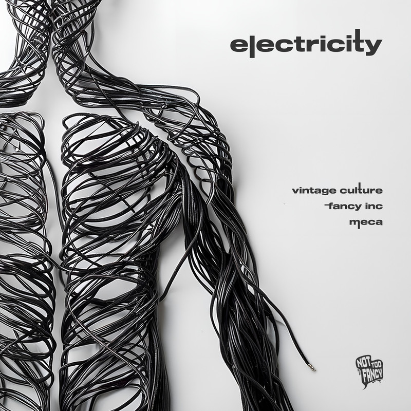 Vintage Culture, Fancy Inc, Meca - Electricity (Extended Mix)