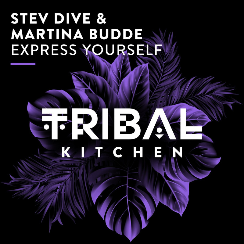 Stev Dive, Martina Budde - Express Yourself (Extended Mix)