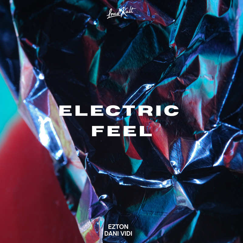 Dani Vidi & EZTON - Electric Feel (Original Mix)