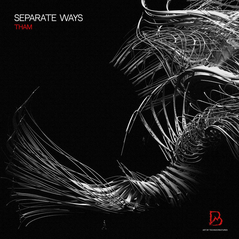 Tham - Separate Ways (Original Mix)