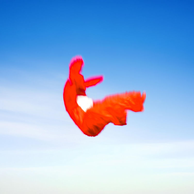 Jesse Mac Cormack - Dive (Original Mix)