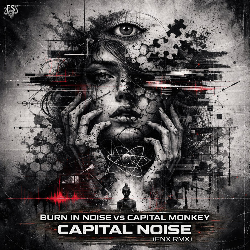 Burn In Noise vs Capital Monkey - Capital Noise (FNX Remix)