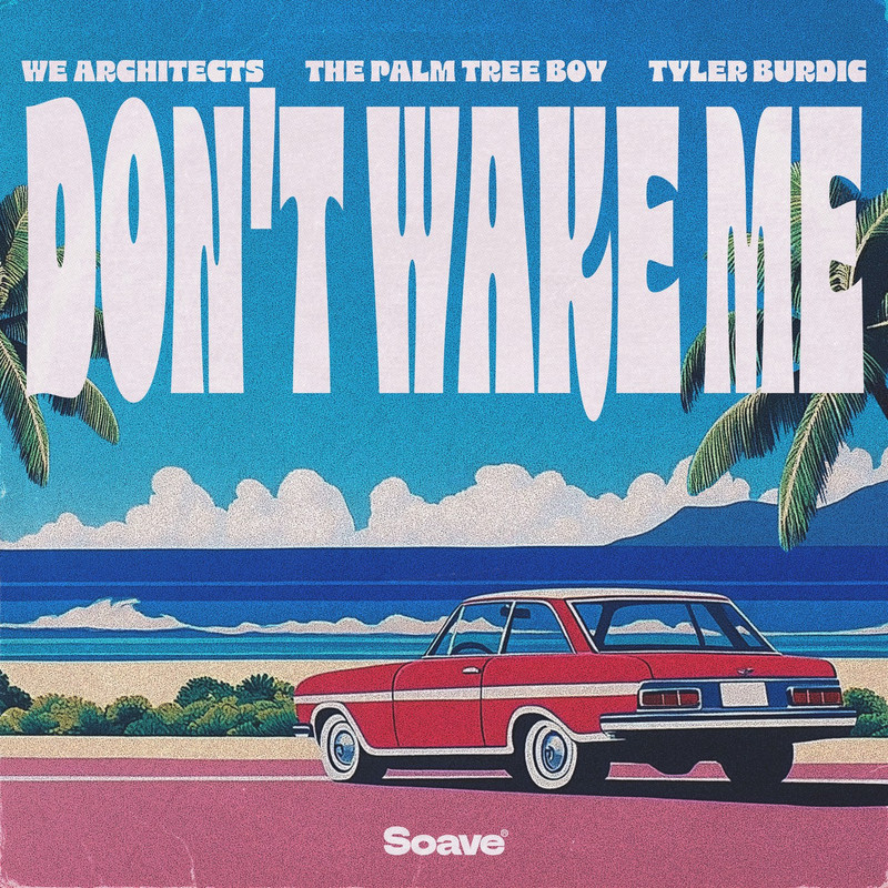 We Architects, The Palm Tree Boy & Tyler Burdic - Don't Wake Me (Original Mix)