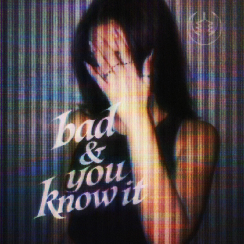 Wax Motif & Ty Dolla $ign - Bad & U Know It (Extended Mix)