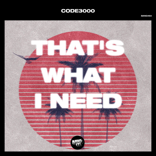 Code3000 - That's What I Need (Extended Mix)