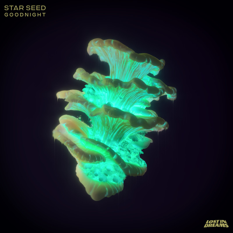 STAR SEED - Goodnight (Original Mix)