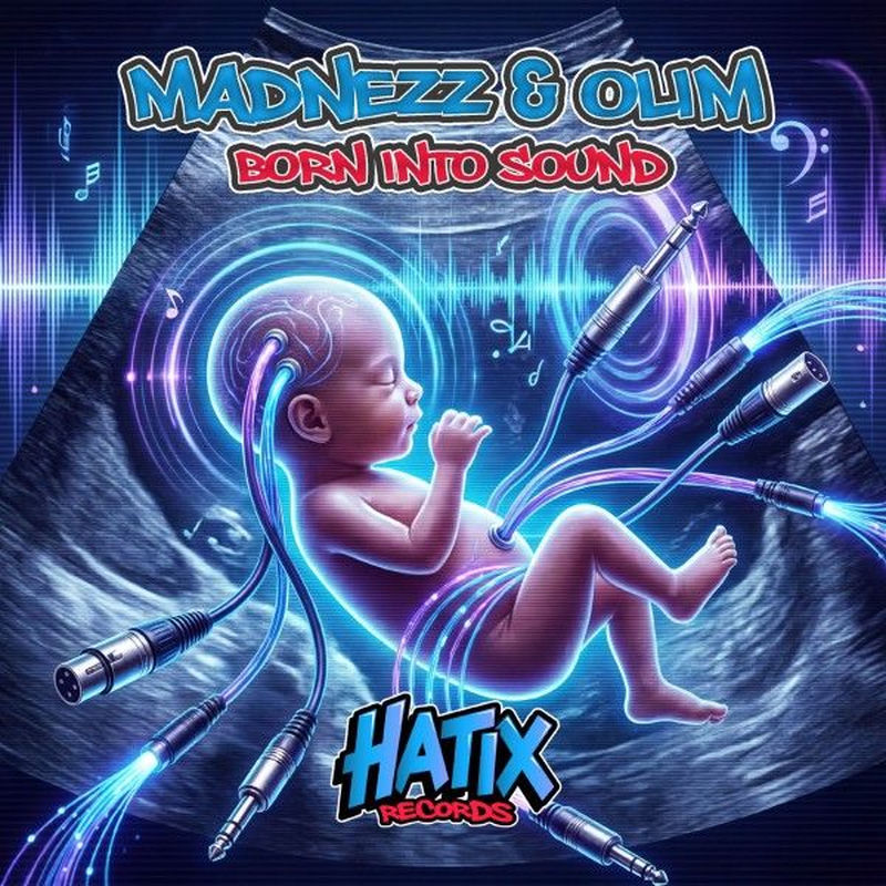Madnezz & OLiM - Born into Sound (Original Mix)