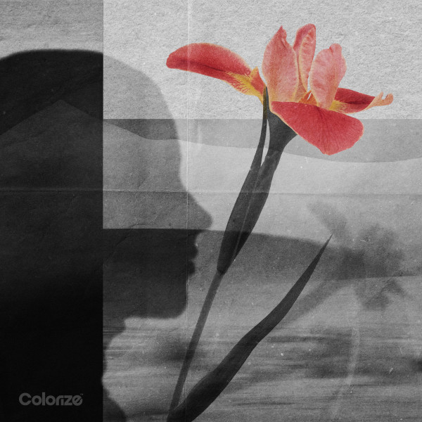 Polar Inc. & Anna-Sophia Henry - Sympathy (Extended Mix)