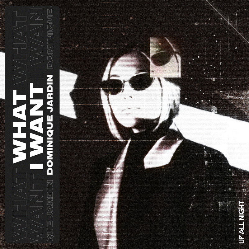 Dominique Jardin - What I Want (Extended Mix)