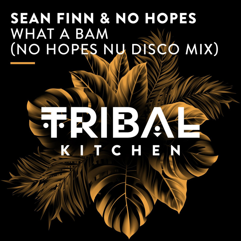 Sean Finn - What a Bam (No Hopes Nu Disco Extended Mix)