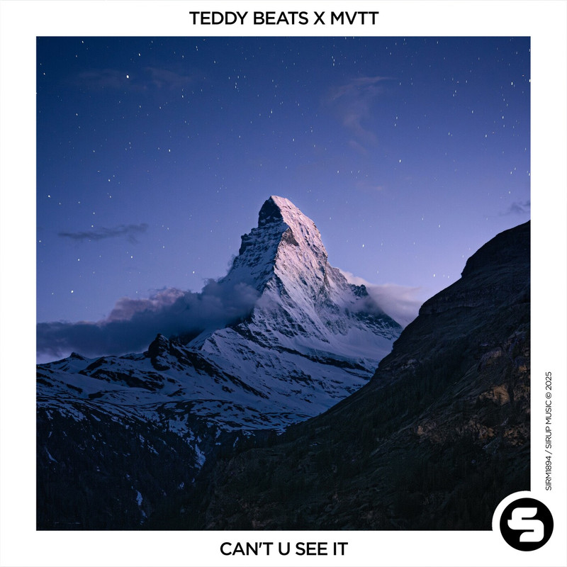 Teddy Beats & MVTT - Can't U See It (Original Mix)
