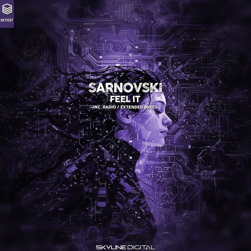 Sarnovski - Feel it (Extended Mix)