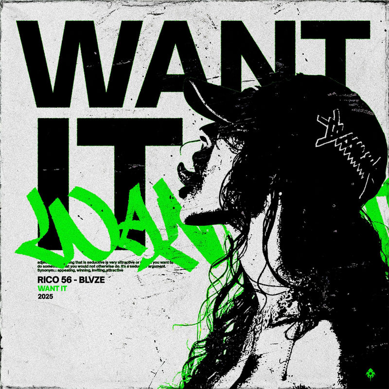 Rico 56 & BLVZE - WANT IT (Original Mix)